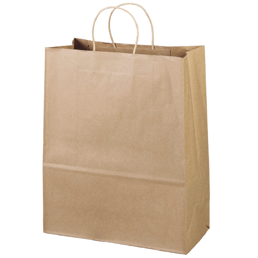 Wholesale Eco Shopper-Citation Paper Bag - 11ECO1315