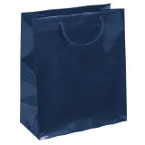Wholesale Emerald Paper Bag - 34LE1013