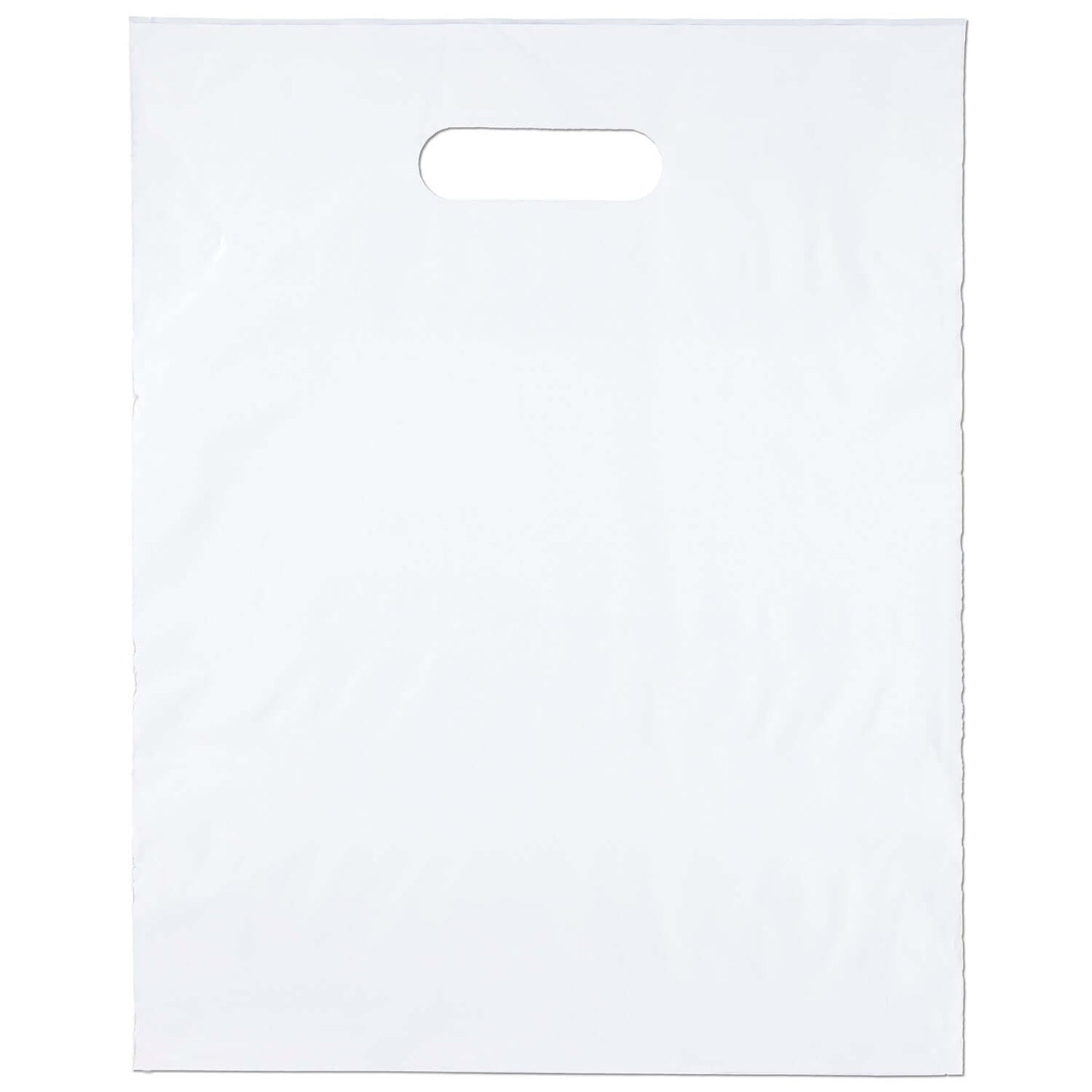 Wholesale 12 x 15 Oxo-Biodegradable Digital Full-Color Die Cut Plastic Bag - FCB31215