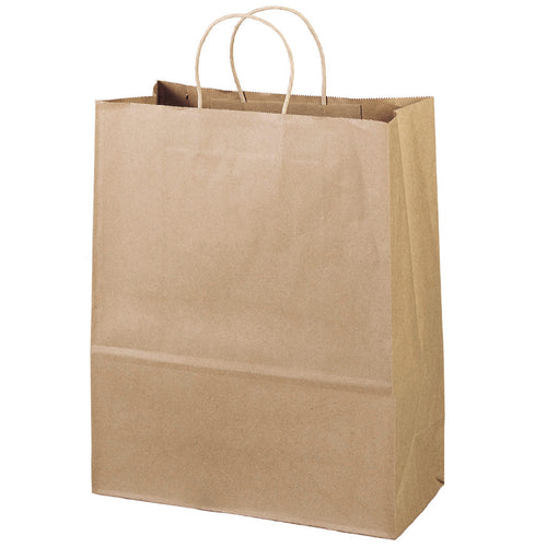 Wholesale Eco Shopper-Citation Paper Bag - 11ECO1315