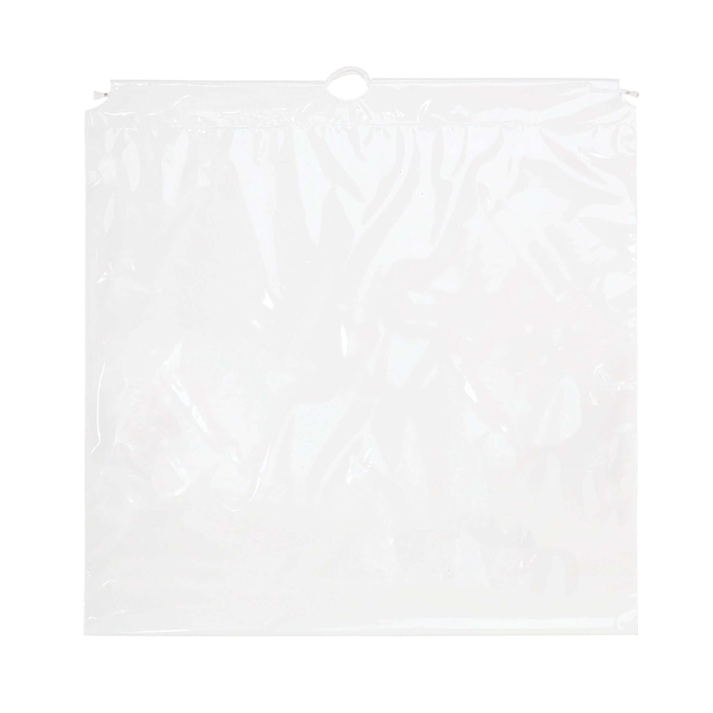 12CC2020SD-Blank-Bag-Clear