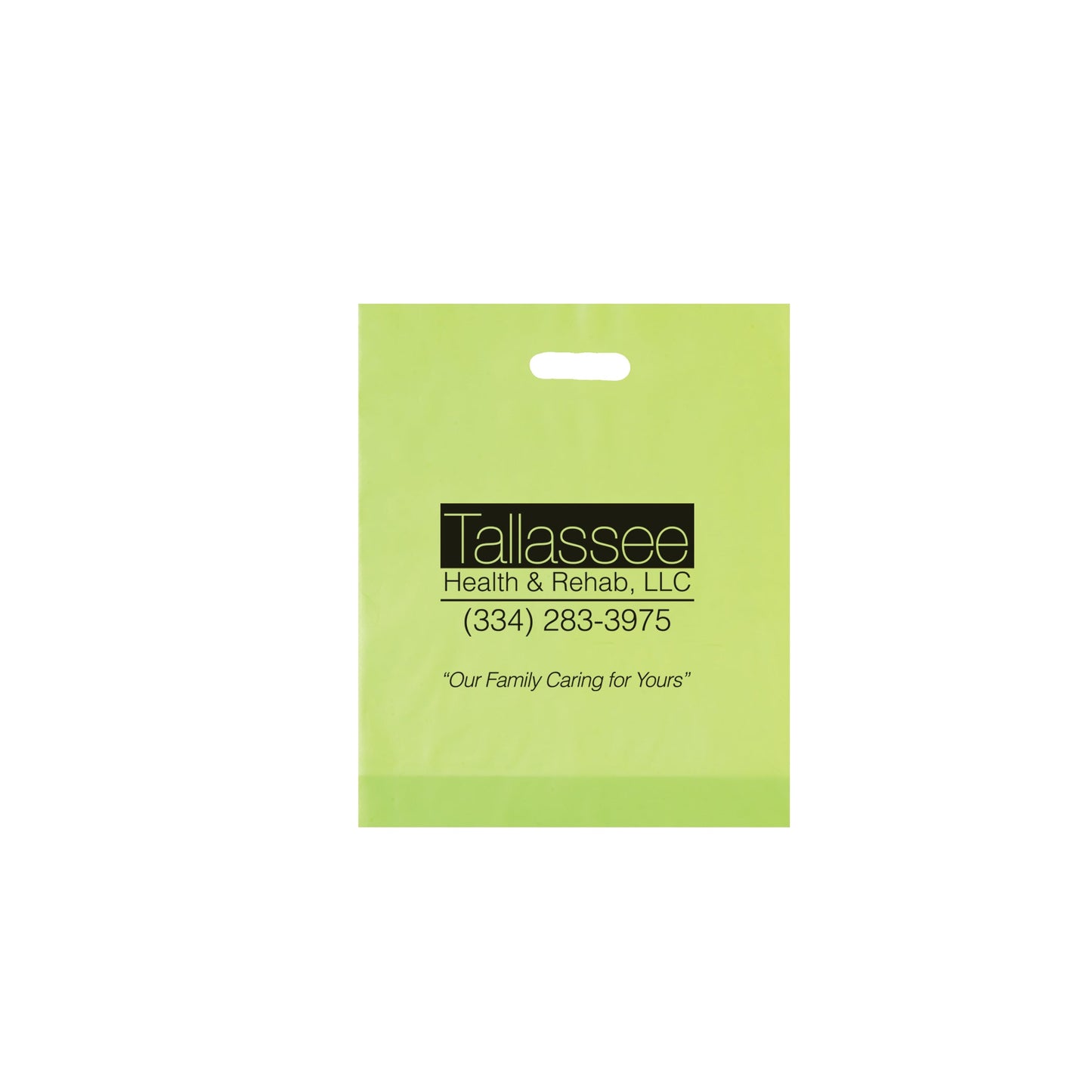 Wholesale FROSTED DIE CUT BAG - 19FD12153