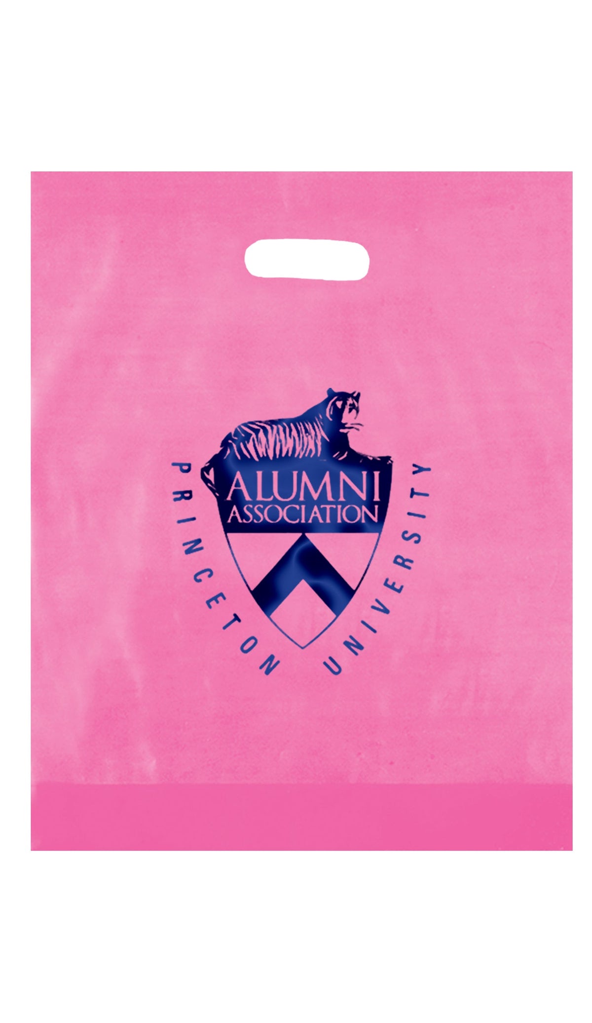 Wholesale FROSTED DIE CUT BAG - 19FD12153