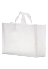 19FSC16612-Blank-Bag-Clear