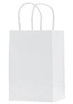 White Kraft Paper Shopping Bags with Twisted Handles (1W538)