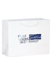 Gloss Laminated Euro Carrier Bag - Premium Wholesale Paper Packaging