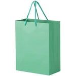 Wholesale Matte Laminated Euro Gift Bags (8" x 4" x 10")