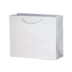 Wholesale Matte Laminated Euro Premium Gift Bag (9x3x7)