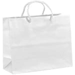Wholesale Paris Matte Laminated Paper Gift Bags (34ML108)