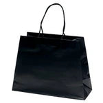 Wholesale McKinley Matte Laminated Paper Shopping Bag