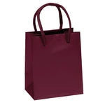 Premium Glossy Jewel Paper Gift Bag with Macrame Handles