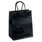 Wholesale Crystal Gloss Laminated Paper Gift Bags (34LE79)