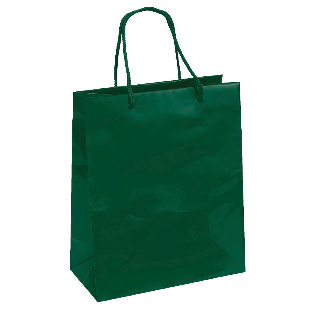 Wholesale Emerald Paper Bag - 34LE1013