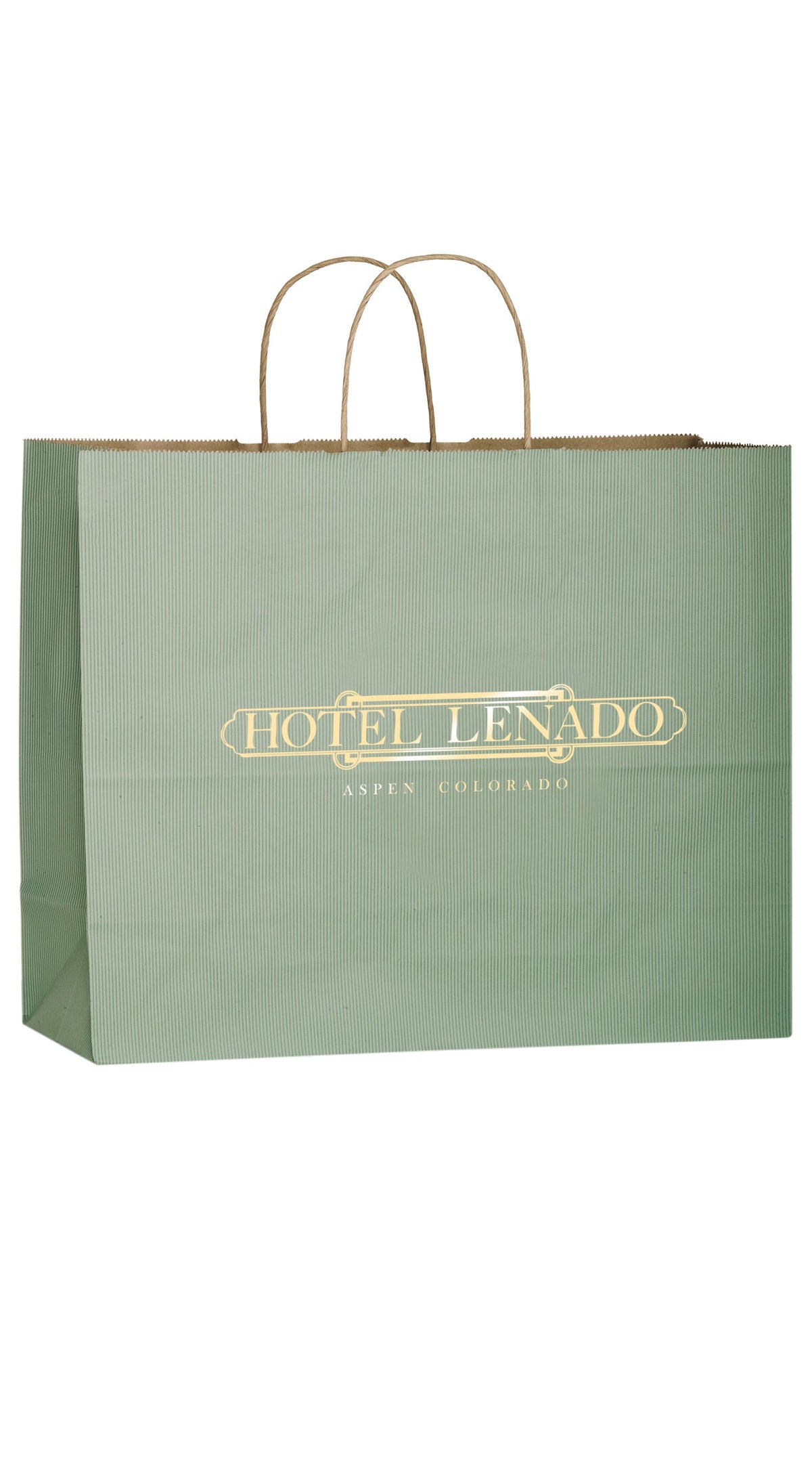 Wholesale MATTE COLOR TWISTED PAPER HANDLE SHOPPER - 4M16613