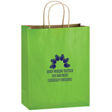 Wholesale MATTE COLOR TWISTED PAPER HANDLE SHOPPER - 4M10513
