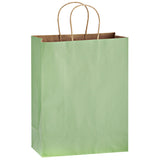 Wholesale MATTE COLOR TWISTED PAPER HANDLE SHOPPER - 4M10513
