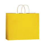 Wholesale MATTE COLOR TWISTED PAPER HANDLE SHOPPER - 4M16613