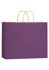 Wholesale MATTE COLOR TWISTED PAPER HANDLE SHOPPER - 4M16613