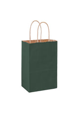 Wholesale MATTE COLOR TWISTED PAPER HANDLE SHOPPER - 4M538