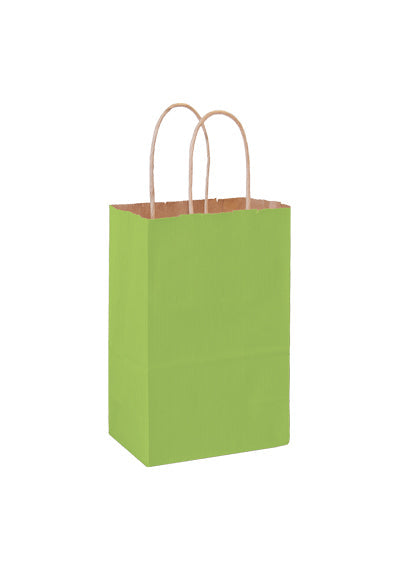 Wholesale MATTE COLOR TWISTED PAPER HANDLE SHOPPER - 4M538