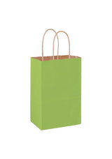Wholesale MATTE COLOR TWISTED PAPER HANDLE SHOPPER - 4M538