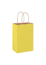 Wholesale MATTE COLOR TWISTED PAPER HANDLE SHOPPER - 4M538