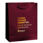 Wholesale Gloss Laminated Euro Paper Carrier Bags (8"x4"x10")