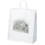 Wholesale White Kraft Paper Shopping Bags (Model 11WHP1315)