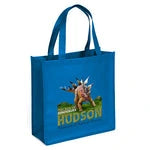 Abe Non-Woven Premium Wholesale Grocery Bag (Model 39PS1313)