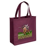 Abe Non-Woven Premium Wholesale Grocery Bag (Model 39PS1313)