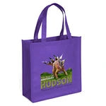 Abe Non-Woven Premium Wholesale Grocery Bag (Model 39PS1313)