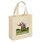 Abe Non-Woven Premium Wholesale Grocery Bag (Model 39PS1313)