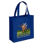 Abe Non-Woven Premium Wholesale Grocery Bag (Model 39PS1313)