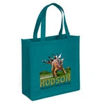 Abe Non-Woven Premium Wholesale Grocery Bag (Model 39PS1313)
