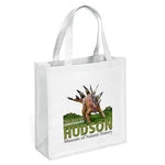 Abe Non-Woven Premium Wholesale Grocery Bag (Model 39PS1313)