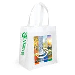 Wholesale Economy Non-Woven Shopping Bag (SPET1315)