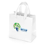 Premium Wholesale Dublin Paper Shopping Bags