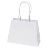 Wholesale Everest Paper Bag - DYMT107