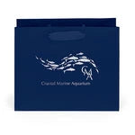 Wholesale Paris Matte Laminated Paper Gift Bags (34ML108)