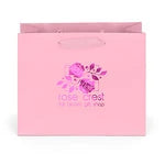 Wholesale Paris Matte Laminated Paper Gift Bags (34ML108)