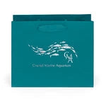 Wholesale Paris Matte Laminated Paper Gift Bags (34ML108)
