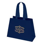 Wholesale Everest Premium Matte Laminated Paper Shopping Bags (DYMT107)