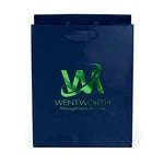 Wholesale Crystal Gloss Laminated Paper Gift Bags (34LE79)