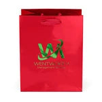 Wholesale Crystal Gloss Laminated Paper Gift Bags (34LE79)