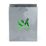 Wholesale Crystal Gloss Laminated Paper Gift Bags (34LE79)