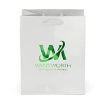 Wholesale Crystal Gloss Laminated Paper Gift Bags (34LE79)