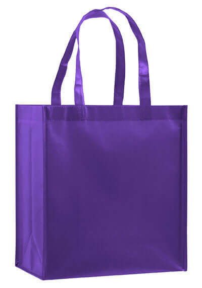 LN12813-Blank-Bag-Purple-