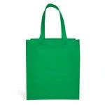 Wholesale Economy Non-Woven Shopping Bag (SPET1315)
