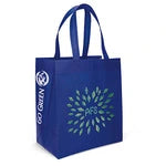 Wholesale Economy Non-Woven Shopping Bag (SPET1315)