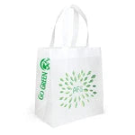 Wholesale Economy Non-Woven Shopping Bag (SPET1315)